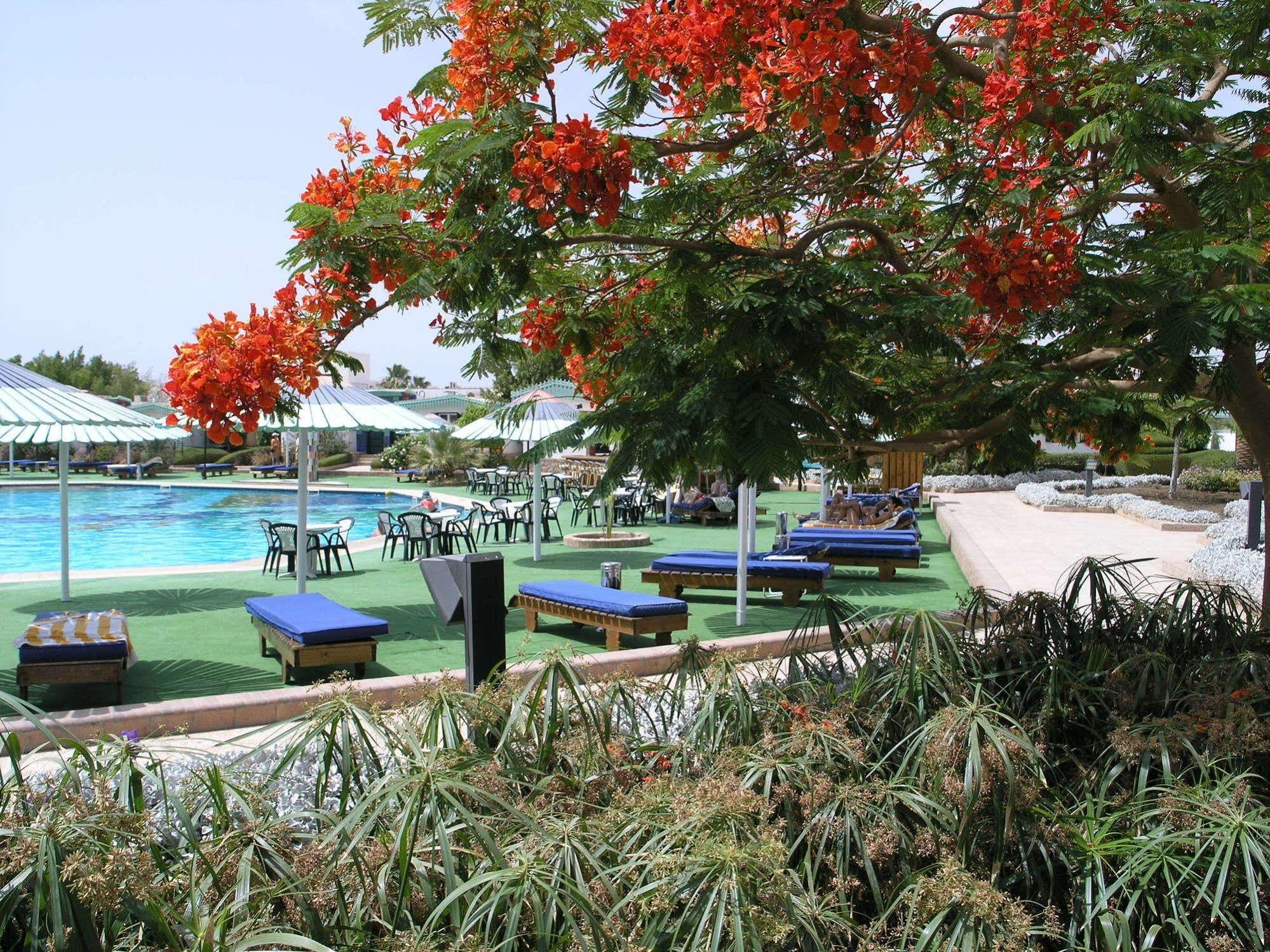 Ghazala Resort 4*